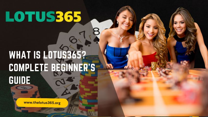 Read more about the article What is Lotus365? Complete Beginner’s Guide